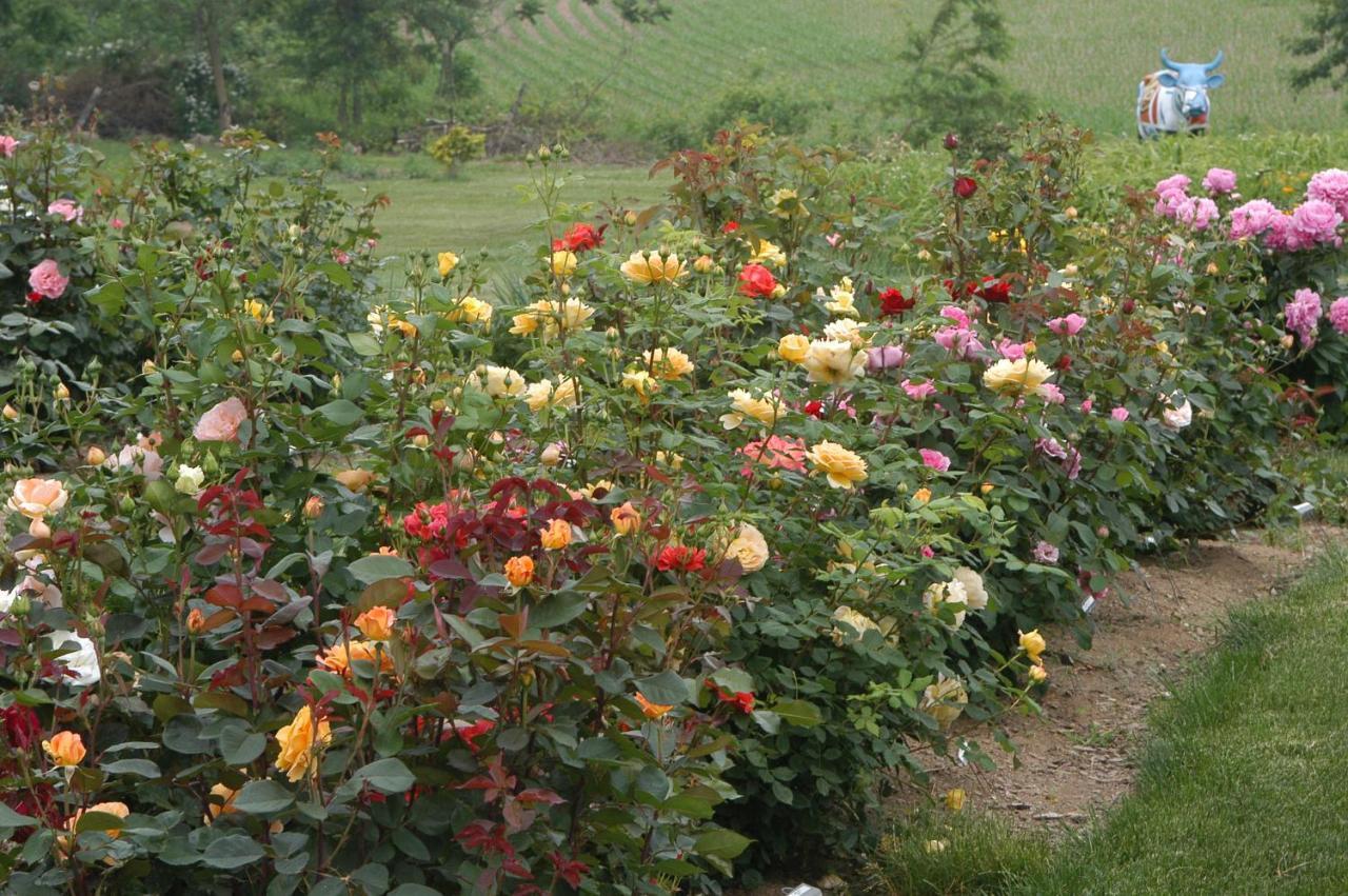 Annville Inn Bed & Breakfast 외부 사진