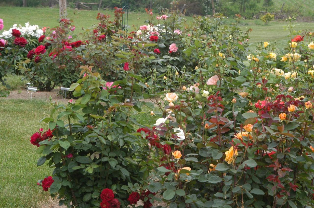 Annville Inn Bed & Breakfast 외부 사진