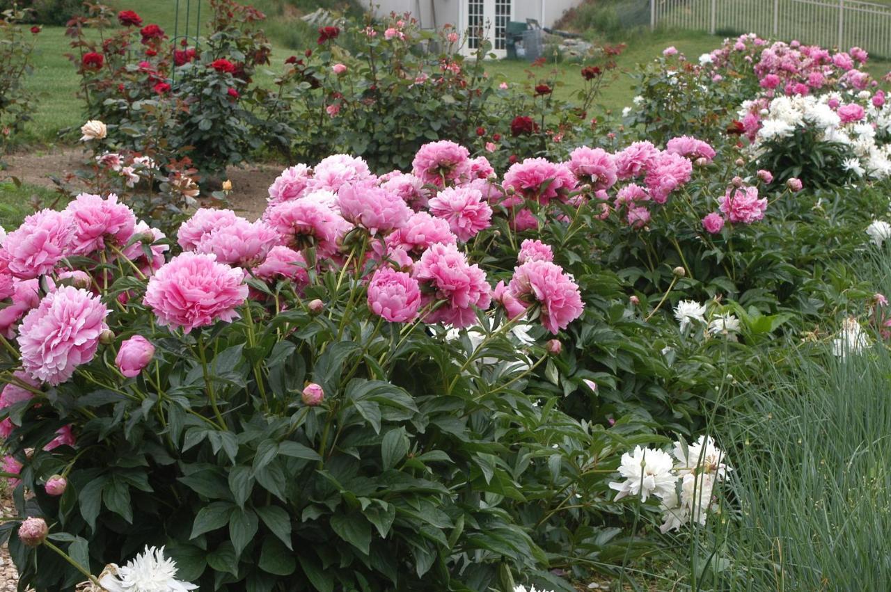Annville Inn Bed & Breakfast 외부 사진