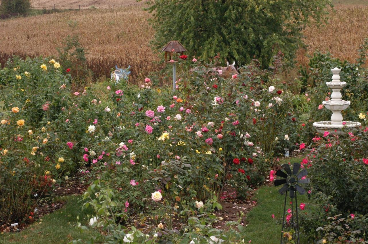 Annville Inn Bed & Breakfast 외부 사진