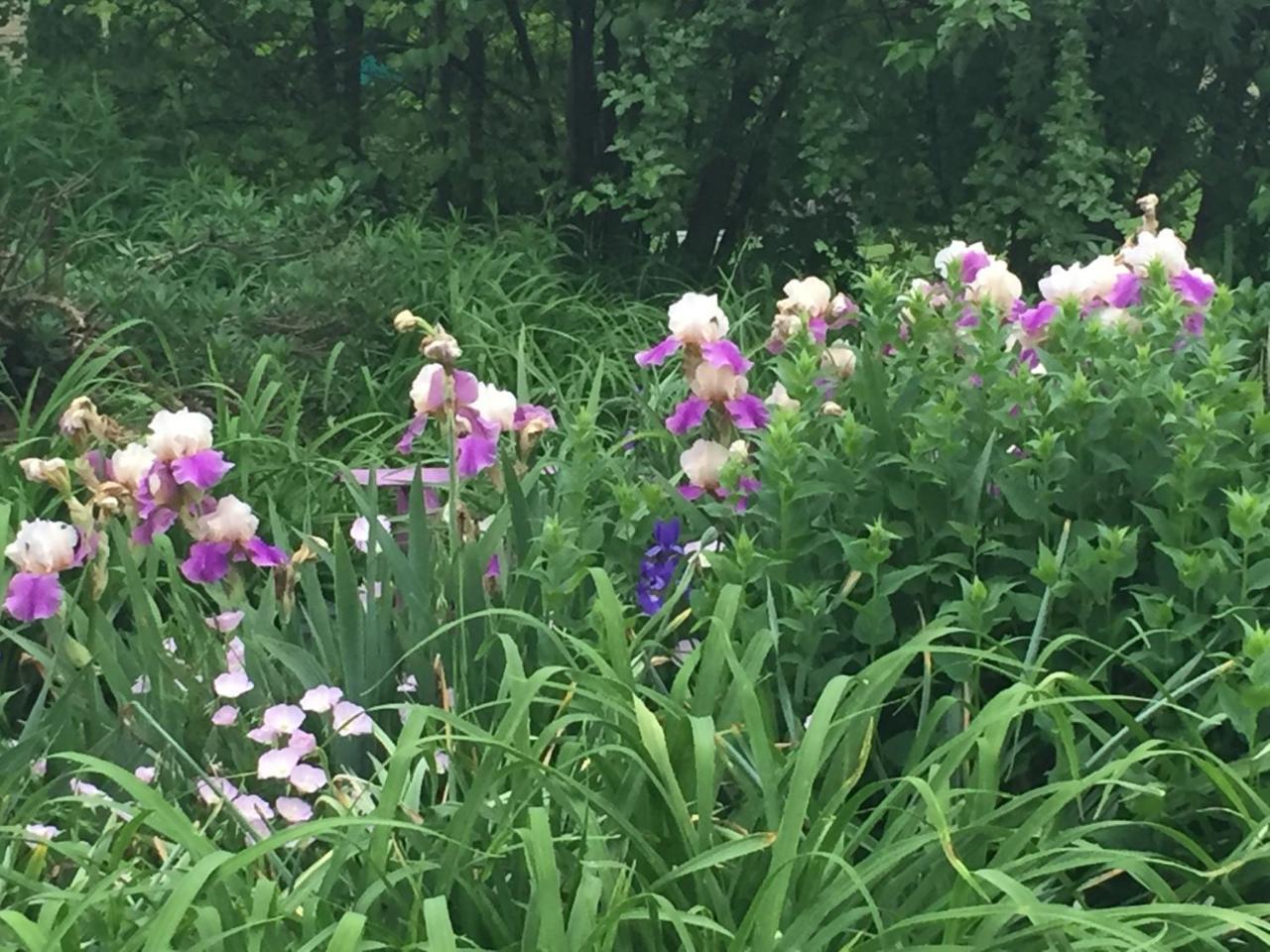 Annville Inn Bed & Breakfast 외부 사진