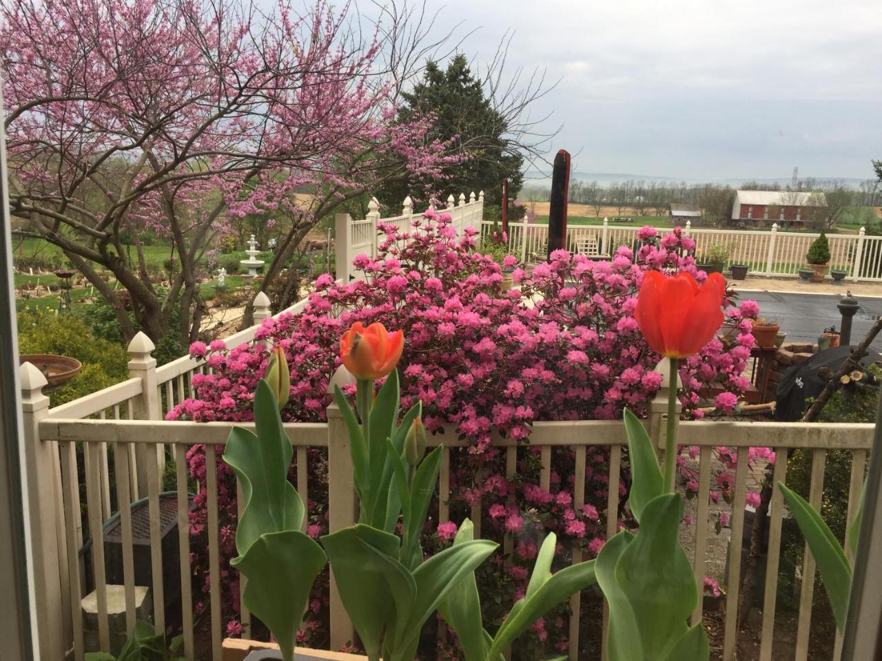 Annville Inn Bed & Breakfast 외부 사진